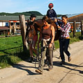 Summer hiporehabilitation stays 2014 (Q-Ranch, Vysočina)
